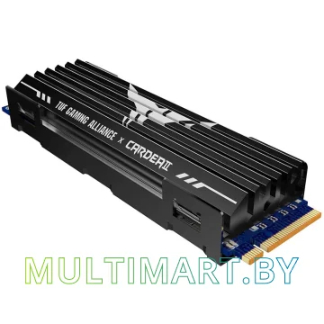SSD диск Team Cardea II TUF Gaming Alliance 1TB (TM8FPB001T0C310)